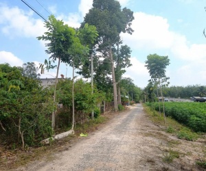 BÁN ĐẤT TÂY NINH – VỊ TRÍ ĐẸP – ĐƯỜNG NHỰA 6M – GIÁ TỐT