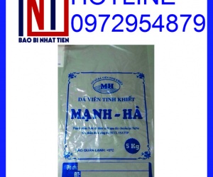 Túi PE đựng đá sạch, bao bì nước đá in ấn theo yêu cầu