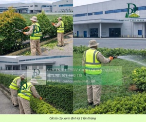 Báo giá chăm sóc cây xanh – cắt cỏ định kỳ KCN Long Đức Đồng Nai
