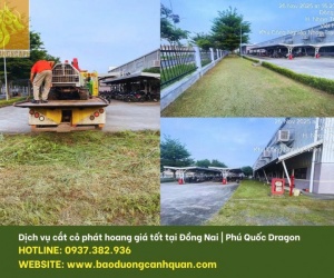 Dịch Vụ Cắt Cỏ Phát Hoang Tại Đồng Nai, TP.HCM Bạn đang đau đầu vì cỏ dại mọc um tùm trên đất dự án,