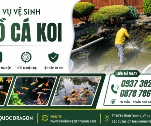 NHẬN VỆ SINH HỒ CÁ KOI TẠI NHÀ GIÁ CẢ HỢP LÝ