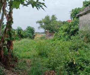 Chính chủ bán đất ở đô thị 240m2 – 2 mặt tiền tại Xã Nghĩa Đạo, Thuận Thành, Bắc Ninh – Mr.Hữu