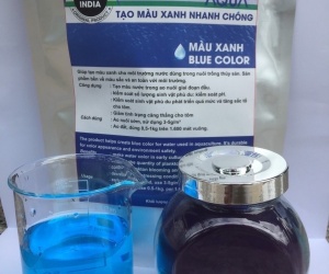 TẠO MÀU XANH FCF – GIẢM TẢO ĐỘC, ỔN ĐỊNH MÔI TRƯỜNG AO NUÔI THỦY SẢN
