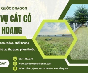 Cắt cỏ nhanh - Sân vườn sạch đẹp chỉ trong vài giờ tại Đồng Nai