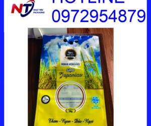 Túi đựng gạo 5kg, túi PA đựng gạo 5kg