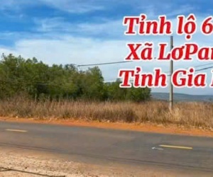ĐẤT MẶT TIỀN TỈNH LỘ 666, GIA LAI – VỊ TRÍ ĐẦU TƯ CỰC TỐT
