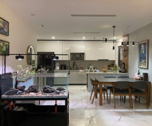Bán CH 3PN tầng cao Sunshine City S4 – 118m² – View sông Hồng & Công viên 65ha – Giá 14,2 tỷ