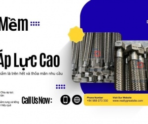 Ống Mềm Kim Loại/ Ống Mềm Inox Chịu Áp Lực Cao/Ống Mềm Thủy Lực