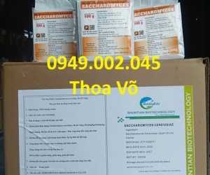 SACCHAROMYCES CEREVISIAE – Men Tiêu Hóa Đậm Đặc Cho Tôm Cá | Phòng Bệnh Phân Trắng Hiệu Quả