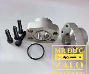 Mặt bích hàn lồng tiêu chuẩn SAE 3000
