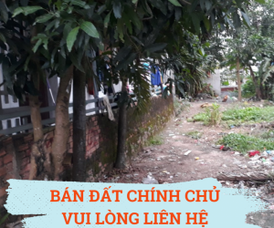 Mình chính chủ bán đất full thổ mặt bằng kinh doanh tốt, Long Thành TP Đồng Nai