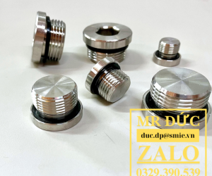 Nút bịt inox BSPP