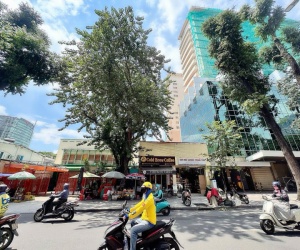 BÁN SIÊU DỰ ÁN QUẬN 1 - VỊ TRÍ KIM CƯƠNG NGAY GÓC Đ. LÊ DUẨN - MẠC ĐĨNH CHI - NGANG HIẾM 33M*39M -
