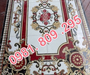 Gạch thảm lát nền phòng khách1m6x2m4 và 1m2x1m8