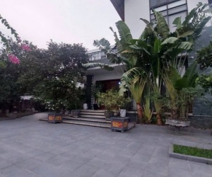 Bìa làng, Biệt thự, 327m2. Mt14m, 3X.x tỷ, view đồng, Việt Hùng, Đông Anh.