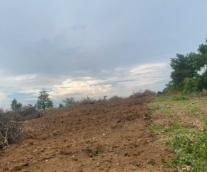 Chính chủ bán đất Bắc Sơn, Đắk Mil, Lâm Đồng - 2,75ha, cách QL14 chỉ 400m, có hồ 2.000m3