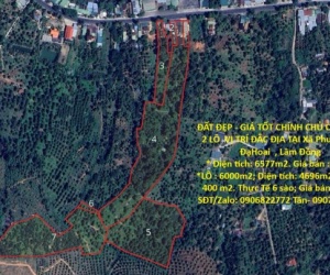 ĐẤT ĐẸP - GIÁ TỐT CHÍNH CHỦ CẦN BÁN 2 LÔ  VỊ TRÍ ĐẮC ĐỊA TẠI Xã Phước Lộc ĐạHoai  , Lâm Đồng