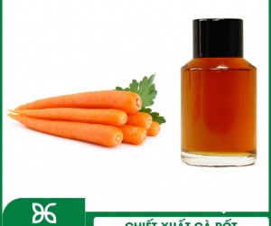 CHIẾT XUẤT CÀ RỐT BIOGREEN - NGUYÊN LIỆU CHỐNG LÃO HOÁ DA TRONG MỸ PHẨM