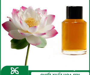 CHIẾT XUẤT HOA SEN HỒNG BIOGREEN - NGUYÊN LIỆU MỸ PHẨM LÀM DỊU DA, CHỐNG LÃO HOÁ DA