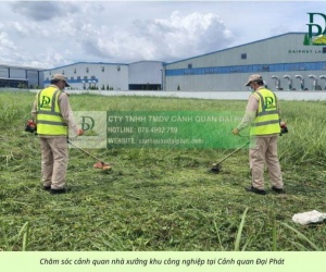 DỊCH VỤ CẮT CỎ, CƯA CÂY KCN MỸ XUÂN – BÀ RỊA VŨNG TÀU