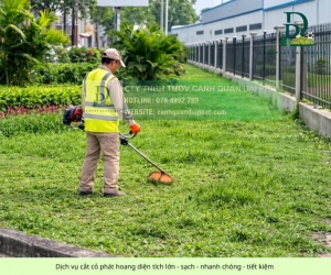 Báo Giá Cắt Cỏ Chăm Sóc Cây Xanh Bình Dương – TP.HCM