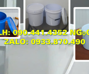 Xô nhựa 20 lít đựng gạo, vỏ thùng sơn 18 lít, xô nhựa 16 lít đựng hóa chất kết tủa 