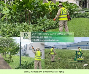 Dịch vụ cắt cỏ – chăm sóc cây xanh KCN Linh Trung, TP.HCM