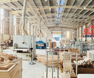 CHO THUÊ XƯỞNG MT VÕ NGUYÊN GIÁP PHƯỚC TÂN 6000M2