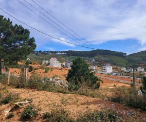 Bán Đất Lớn Lang biang 53,000 m2