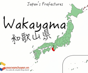 Giá Cước Vận Tải Từ Hồ Chí Minh Đi Wakayama, Nhật Bản