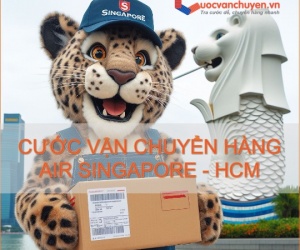 Giá Cước Vận Chuyển Hàng Air Từ Singapore Về Hồ Chí Minh