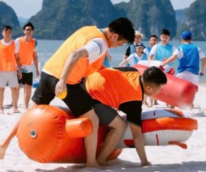 Ngựa chiến ngựa bơm hơi  Cho thuê ngựa chiến