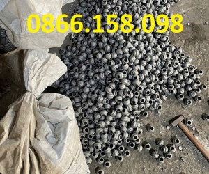 Nhà phân phối con sò gang giá sỉ