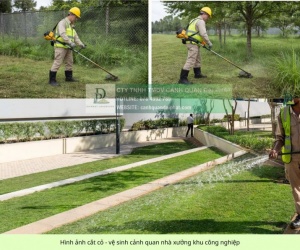 Dịch vụ cắt cỏ – cưa cây Nhơn Trạch, Đồng Nai