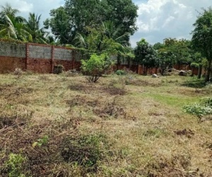 ĐẦU TƯ SINH LỜI – CẦN BÁN GẦN 1.000M² LÔ ĐẤT VƯỜN, Đ. Tam Đa, P. Long Phước, Q.9, TP.HCM