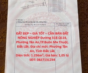 ĐẤT ĐẸP – GIÁ TỐT – CẦN BÁN ĐẤT NÔNG NGHIỆP Đường 31B QL14, Phường Tân An,TP.Buôn Ma Thuột, Đắk Lắk