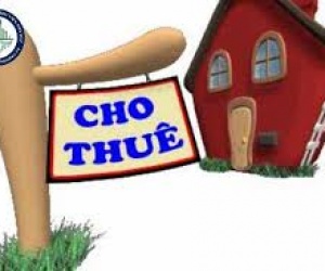 ⭐️Cho thuê nhà xưởng tại Cụm Công Nghiệp Phúc Thành, Tổ dân phố 31 – phường Thái Bình – Hưng yên