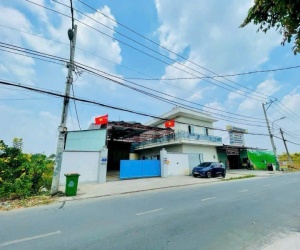 HÀNG HIẾM TÂN THÔNG – XƯỞNG FULL THỔ, ĐANG CÓ DÒNG TIỀN!